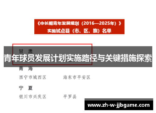 青年球员发展计划实施路径与关键措施探索