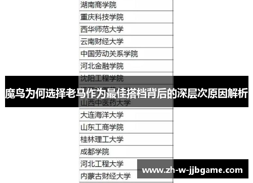 魔鸟为何选择老马作为最佳搭档背后的深层次原因解析