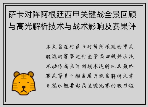 萨卡对阵阿根廷西甲关键战全景回顾与高光解析技术与战术影响及赛果评析